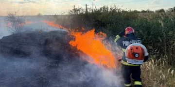 Incendii de vegetație. Pompierii intervin la Moftinu Mic și în municipiul Satu Mare