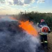Incendii de vegetație. Pompierii intervin la Moftinu Mic și în municipiul Satu Mare