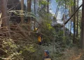 Incendiul de pădure la Doda Pilii, lichidat după o intervenție dificilă. Aproximativ 1.000 de metri pătrați au fost afectați