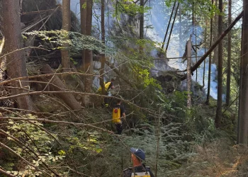 Incendiul de pădure la Doda Pilii, lichidat după o intervenție dificilă. Aproximativ 1.000 de metri pătrați au fost afectați