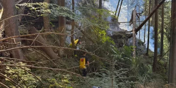 Incendiul de pădure la Doda Pilii, lichidat după o intervenție dificilă. Aproximativ 1.000 de metri pătrați au fost afectați