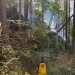 Incendiul de pădure la Doda Pilii, lichidat după o intervenție dificilă. Aproximativ 1.000 de metri pătrați au fost afectați