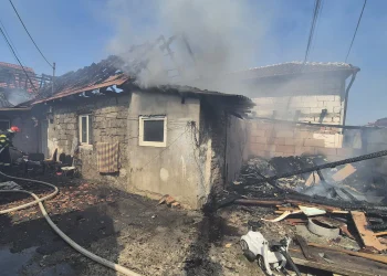 Incendiu în zona Dedeman din Alba Iulia
