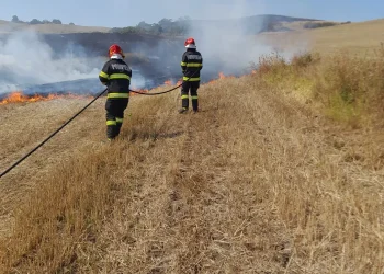 Pompierii din Blaj au intervenit pentru a stinge un incendiu de vegetație. Aproximativ 10 hectare pârjolite