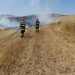 Pompierii din Blaj au intervenit pentru a stinge un incendiu de vegetație. Aproximativ 10 hectare pârjolite