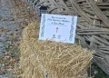 Zilele Republicii Moldova la Baia Mare. O seară despre rădăcini, oameni și bucuria de a fi împreună