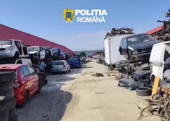Centru ilegal de dezmembrare dezafectat la Râșnov. 95 de tone de deșeuri și 75 de caroserii descoperite de polițiști