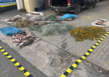 Braconaj piscicol în județul Sibiu. 2 brașoveni reținuți 24 de ore