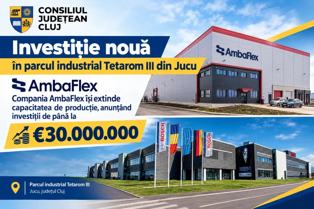 AmbaFlex