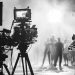 A Filmtettfeszten a rövidfilmek illetve a mesterséges intelligencia és a filmszakma jövője kerül terítékre