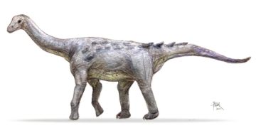 Törpenövésű óriások éltek Erdélyben – Különleges dinoszauruszok nyomait őrzi Hátszeg vidéke