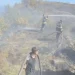 Maramureș | Incendiu de vegetație întins pe aproximativ 25 de ha. Elicopterul Black Hawk intervine pentru stingerea focarelor