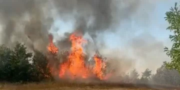 Șapte incendii de vegetație într-o singură zi în Bihor