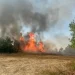 Șapte incendii de vegetație într-o singură zi în Bihor