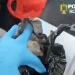 3 bărbați prinși cu aproximativ 300 de grame de cocaină în Brașov