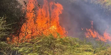 Peste 70 de hectare mistuite de incendii în Bihor în ultimele 3 zile de vară