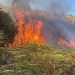 Peste 70 de hectare mistuite de incendii în Bihor în ultimele 3 zile de vară