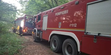 Peste 70 de hectare mistuite de incendii în Bihor în ultimele 3 zile de vară