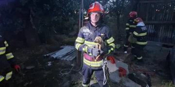 Cățel salvat de pompieri dintr-o fântână adâncă de 7 metri, în Sânlazăr, Bihor