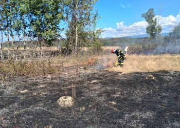 Incendiile de vegetație continuă să afecteze terenurile din județul Bihor