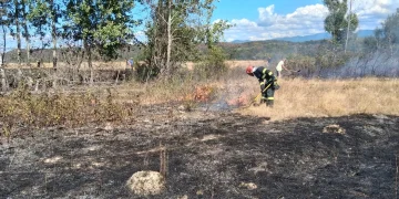 Incendiile de vegetație continuă să afecteze terenurile din județul Bihor