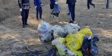 „Let’s Do It, Romania!” Pompierii bihoreni, curățenie în pădurea Nojorid