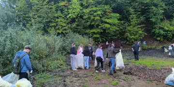 Jandarmii maramureșeni au participat  și ei la acțiuni de ecologizare în Baia Mare, Cavnic și Târgu Lăpuș