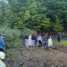 Jandarmii maramureșeni au participat  și ei la acțiuni de ecologizare în Baia Mare, Cavnic și Târgu Lăpuș