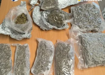 Prins în timp ce încerca să vândă 1,7 kg de „iarbă”. Depistat de polițiștii maramureșeni