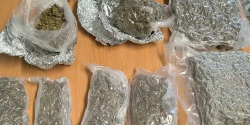Prins în timp ce încerca să vândă 1,7 kg de „iarbă”. Depistat de polițiștii maramureșeni