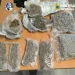Prins în timp ce încerca să vândă 1,7 kg de „iarbă”. Depistat de polițiștii maramureșeni