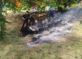 Incendiu izbucnit pe Creasta Cocoșului oprit la timp de jandarmii montani maramureșeni