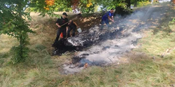 Incendiu izbucnit pe Creasta Cocoșului oprit la timp de jandarmii montani maramureșeni