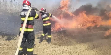 4 incendii într-o singură zi în Bihor. Un bărbat a fost rănit cât timp încerca să stingă flăcările