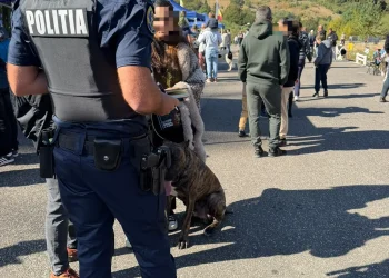 dosare