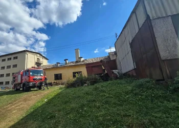Incendiu la o hală de procesare a hameiului, în județul Sibiu. 1,5 tone de hamei înghițite de foc
