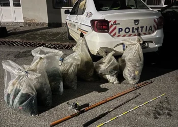 FOTO Peste 570 de metri de plase de pescuit găsite într-o mașină oprită pe barajul Scoreiu-Colun, Sibiu