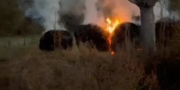 Incendiu între Rohia și Boiereni. Jandarmii au fost cei care au dat alarma
