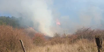 7 hectare de teren cuprinse de flăcări în Bistrița-Năsăud
