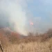 7 hectare de teren cuprinse de flăcări în Bistrița-Năsăud