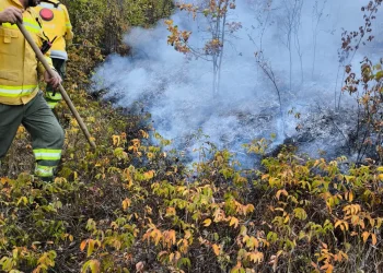 16 incendii doar azi în Bihor. 4 intervenții sunt încă în desfășurare