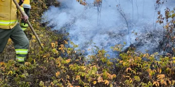 16 incendii doar azi în Bihor. 4 intervenții sunt încă în desfășurare