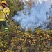 16 incendii doar azi în Bihor. 4 intervenții sunt încă în desfășurare