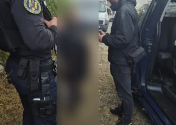 Haine contrafăcute ridicate de jandarmii bistrițeni din Livezile