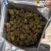 droguri