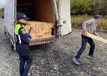 FOTO Transport de lemne fără acte, depistat de polițiști în Dej. Marfa a fost confiscată