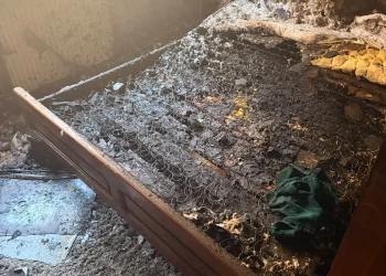 FOTO/VIDEO Incendiul de pe strada Motorului din Baia Mare, provocat intenționat. Bărbat imobilizat de jandarmi