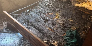 FOTO/VIDEO Incendiul de pe strada Motorului din Baia Mare, provocat intenționat. Bărbat imobilizat de jandarmi