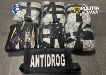 Captură impresionantă la Brașov. Tânăr de 22 de ani prins în flagrant cu 6 kilograme de canabis