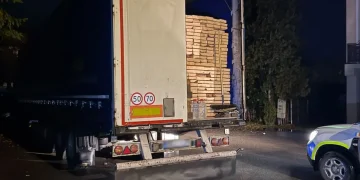 FOTO Controale silvice. Peste 82 de metri cubi de lemn confiscați în Bistrița-Năsăud. 2 mașini puse sub sechestru